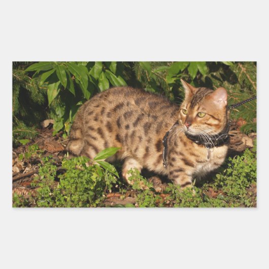 Rectangulaire Sticker Rectangle de chat Savannah (Devant)