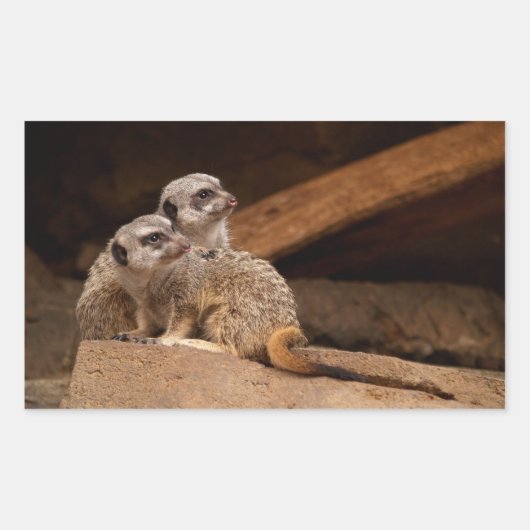 Rectangulaire Sticker Rectangle Meerkat (Devant)