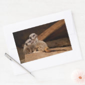Rectangulaire Sticker Rectangle Meerkat (Enveloppe)