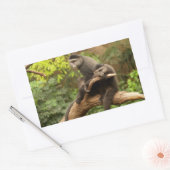 Rectangulaire Sticker Rectangle singe (Enveloppe)