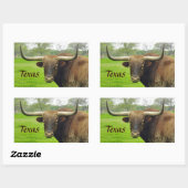 Rectangulaire Sticker Texas Longhorn "Texas" (Feuille)