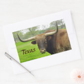 Rectangulaire Sticker Texas Longhorn "Texas" (Enveloppe)