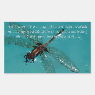 Rectangulaire Sticker Vie 2 Dragonflies