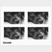 Rectangulaire Sticker Visage Chien Chien Mignonne (Feuille)