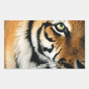 Rectangulaire Tigre 2 - Sticker