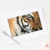Rectangulaire Tigre 2 - Sticker (Enveloppe)