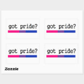 Rectangulaire Vous avez de la fierté ? Bisexuel Bi Pride Sticker (Feuille)