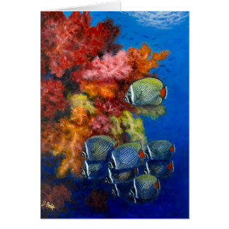 Reculated BBF avec les coraux mous