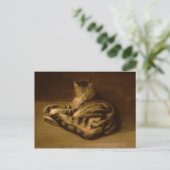 Recumbent Cat, 1898 Briefkaart (Staand voorkant)