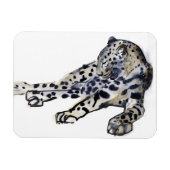 Recumbent Magneet (Horizontaal)