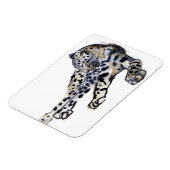 Recumbent Magneet (Linkerzijde)