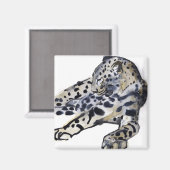 Recumbent Magneet (Voorkant / Achterkant)