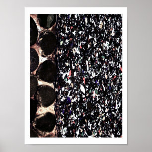 Recycle ~ Pring / Poster / Photographie