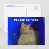 Recycler la carte postale (Devant / Derrière)