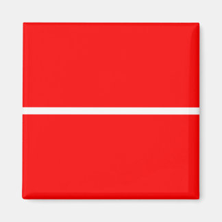 Red 001 magnet magneet