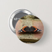 Red Admiral Butterfly Button (Voorkant /achterkant)