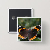 Red Admiral Butterfly Pin Vierkante Button 5,1 Cm (Voorkant /achterkant)