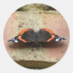 Red Admiral Butterfly-stickers Ronde Sticker