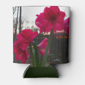 Red Amaryllis en Winter Sunrise Blikjeskoeler (Voorkant)