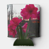 Red Amaryllis en Winter Sunrise Blikjeskoeler (Achterkant)