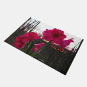 Red Amaryllis en Winter Sunrise Deurmat (Schuin)