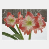Red Amaryllis en Winter Sunrise Inpakpapier Vel (Voorkant 2)