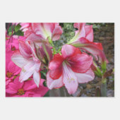 Red Amaryllis en Winter Sunrise Inpakpapier Vel (Voorkant 3)