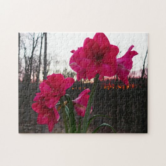 Red Amaryllis en Winter Sunrise Legpuzzel (Horizontaal)