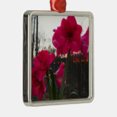 Red Amaryllis en Winter Sunrise Metalen Ornament (Rechts)