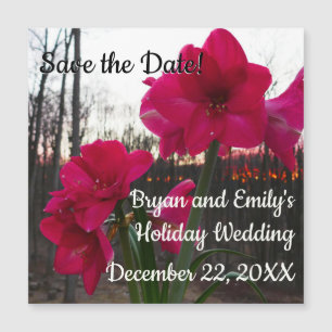Red Amaryllis en Winter Sunrise Save the Date
