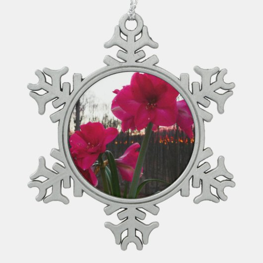 Red Amaryllis en Winter Sunrise Tin Sneeuwvlok Ornament (Voorkant)