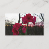 Red Amaryllis en Winter Sunrise Visitekaartje (Achterkant)
