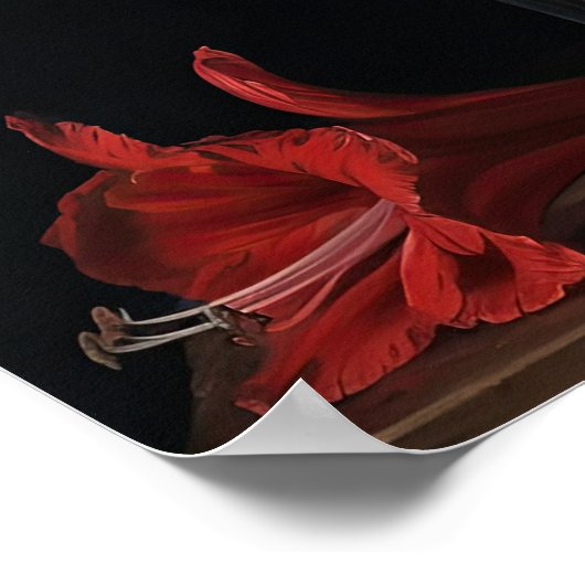 Red Amaryllis Fleurs Art Imprimer Poster (Coin)
