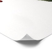 Red Amaryllis Flower Art Print Poster (Hoek)