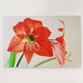 Red Amaryllis Flower Legpuzzel