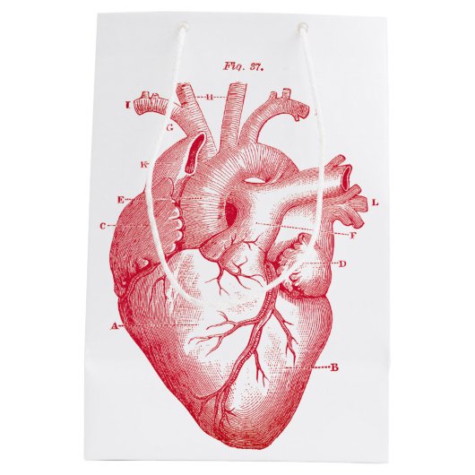 Red Anatomical Heart Print Medium Gift Bag Medium Cadeauzakje (Achterkant)