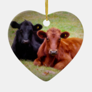 Red and Black Angus Share Love and Hugs Keramisch Ornament