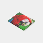 Red-and-green Macaw Post-it® Notes (Schuin)