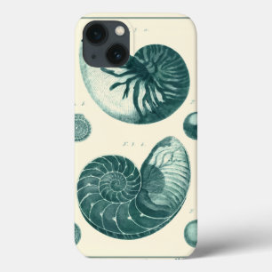 Red and Green Seashell Art iPhone 13 Hoesje