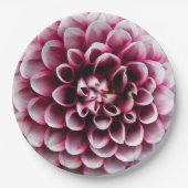 Red and White Ball Dahlia Floral Papieren Bordje (Voorkant)