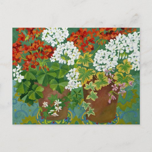Red and white geraniums in pots 2013 briefkaart (Voorkant)