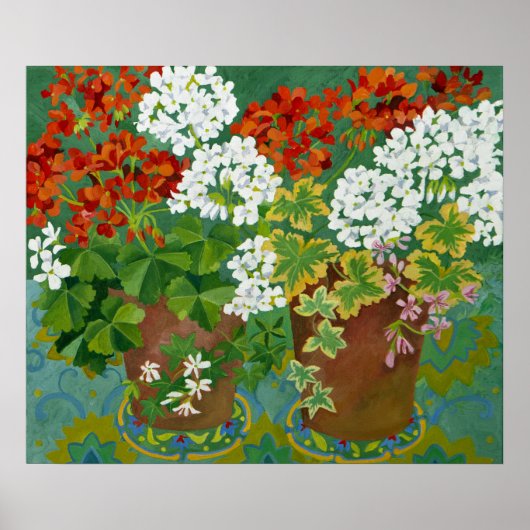 Red and white geraniums in pots 2013 poster (Voorkant)