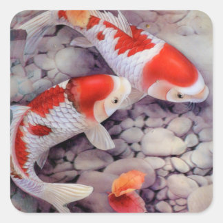 Red and White Koi Fish Pond Vierkante Sticker