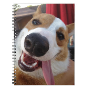 Red and White Pembroke Welsh Corgi Notitieboek