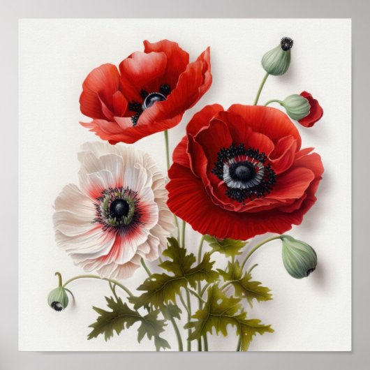 Red Anemone Flowers Art Print Poster (Voorkant)