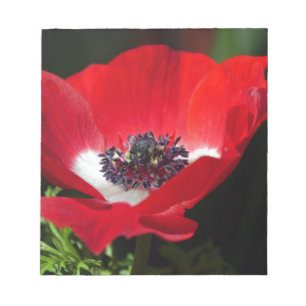 Red Anemone.JPG Notitieblok