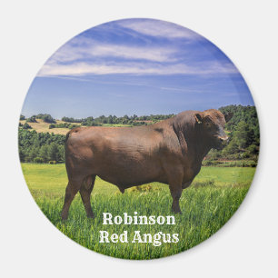 Red Angus Bull Magneet