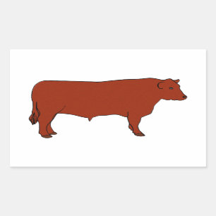 Red Angus Bull Rechthoekige Sticker