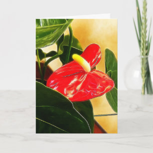 Red Anthurium Floral Modèle de photographie