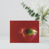 Red Apple Briefkaart (Staand voorkant)